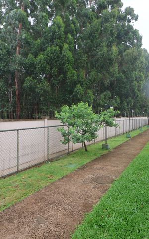 Apartamento à venda com 42m², 2 quartos e sem vagaÁrea comum