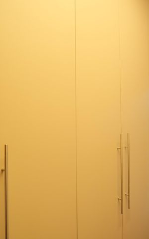 Apartamento à venda com 280m², 4 quartos e 3 vagasCloset da Suíte 1
