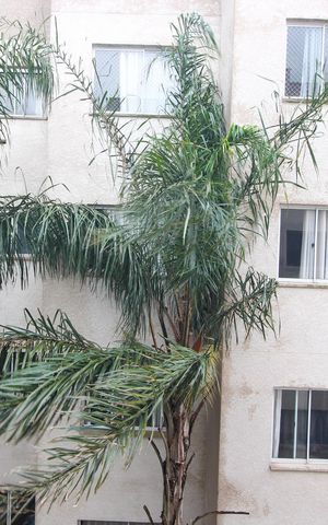 Apartamento à venda com 43m², 2 quartos e 1 vagaVista do Quarto 1