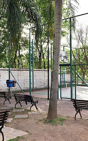 Apartamento à venda com 67m², 3 quartos e 1 vagaÁrea comum - Quadra de Esportes