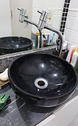 Apartamento à venda com 67m², 3 quartos e 1 vagaBanheiro Social - Torneira