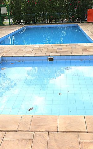 Apartamento à venda com 67m², 3 quartos e 1 vagaÁrea comum - Piscina