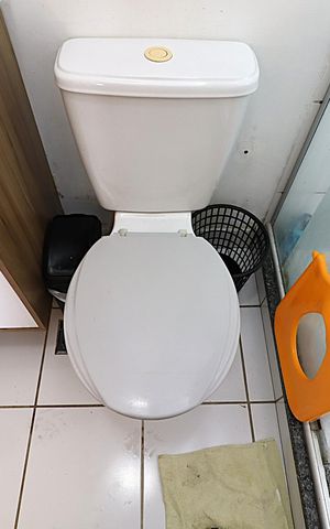 Apartamento à venda com 67m², 3 quartos e 1 vagaBanheiro da Suíte