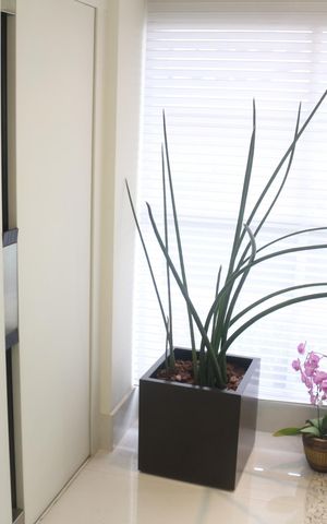 Apartamento à venda com 400m², 3 quartos e 4 vagasHall de entrada