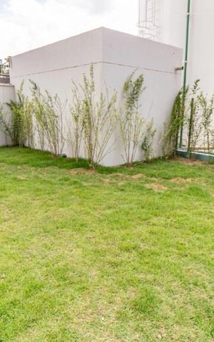 Apartamento à venda com 35m², 2 quartos e sem vaga Apartamento à venda com 35m², 2 quartos e sem vagaÁrea Externa
