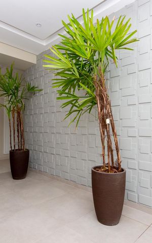 Apartamento à venda com 35m², 1 quarto e sem vaga Apartamento à venda com 35m², 1 quarto e sem vagaHall social
