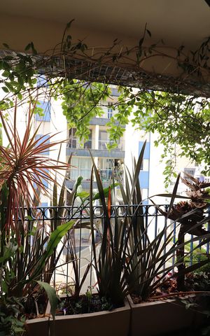 Apartamento à venda com 70m², 2 quartos e 2 vagasSala Sacada 