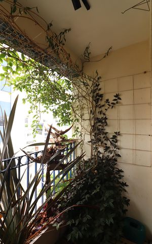 Apartamento à venda com 70m², 2 quartos e 2 vagasSala Sacada 
