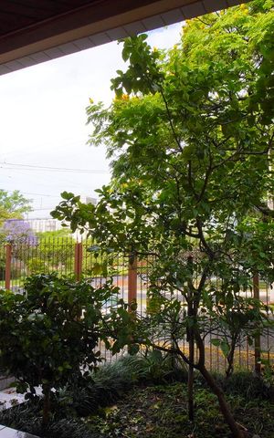 Casa para alugar com 475m², 6 quartos e 7 vagasVista da Sala