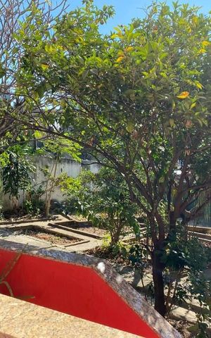 Casa à venda com 65m², 2 quartos e sem vaga