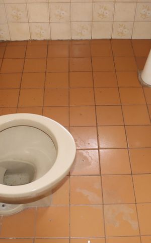 Casa para alugar com 1001m², 4 quartos e 4 vagasBanheiro de Serviço