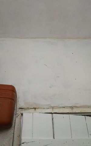 Casa para alugar com 30m², 1 quarto e sem vagaBanheiro