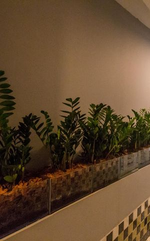 Apartamento para alugar com 40m², 1 quarto e 1 vagaÁrea comum
