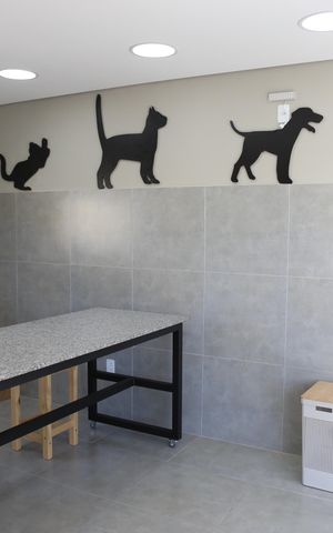 Apartamento à venda com 55m², 2 quartos e 1 vagaÁrea comum