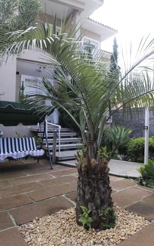 Casa à venda com 990m², 6 quartos e 8 vagasQuintal