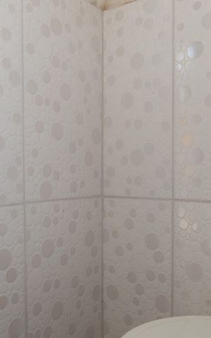 Casa para alugar com 170m², 4 quartos e 4 vagasBanheiro 3 - Área externa