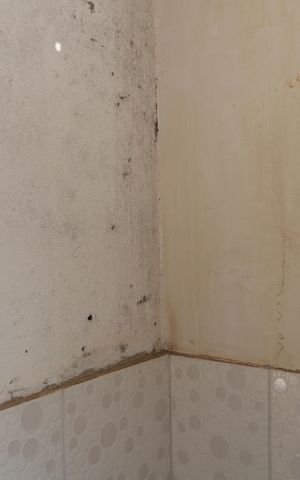 Casa para alugar com 170m², 4 quartos e 4 vagasBanheiro 3 - Área externa