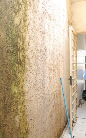 Casa para alugar com 170m², 4 quartos e 4 vagasCorredor 2