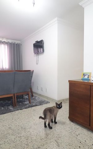 Apartamento à venda com 137m², 3 quartos e 2 vagasSala de jantar