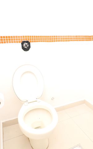 Apartamento para alugar com 288m², 4 quartos e 2 vagasBanheiro Social