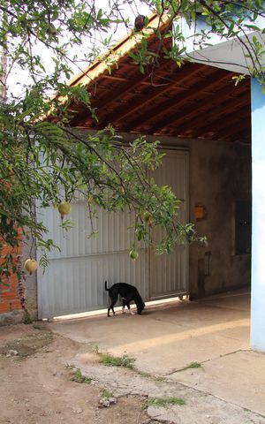 Casa à venda com 79m², 2 quartos e 8 vagasQuintal 