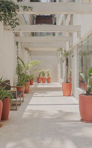 Apartamento à venda com 193m², 4 quartos e 2 vagasÁrea comum