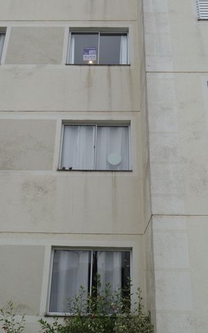 Apartamento para alugar com 56m², 2 quartos e 1 vagaPlaca