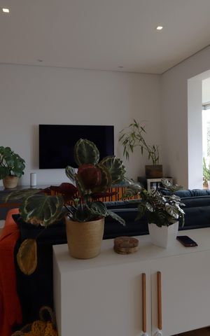 Apartamento à venda com 128m², 3 quartos e 2 vagasSala