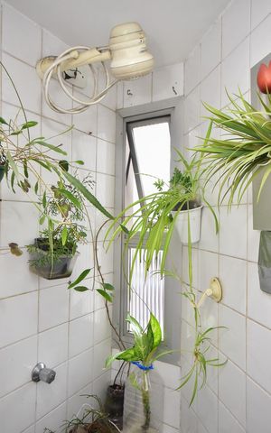 Apartamento à venda com 70m², 3 quartos e 1 vagaBanheiro Suíte