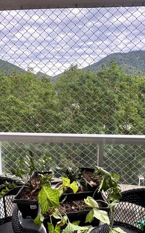 Apartamento à venda com 77m², 3 quartos e 1 vaga Apartamento à venda com 77m², 3 quartos e 1 vagaVaranda