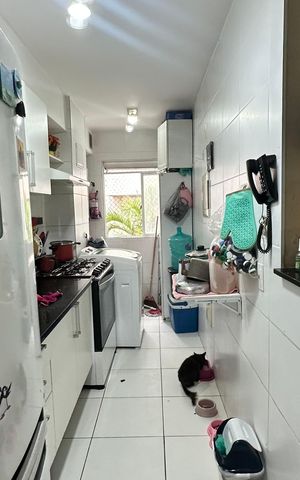 Apartamento à venda com 77m², 3 quartos e 1 vaga Apartamento à venda com 77m², 3 quartos e 1 vagaCozinha