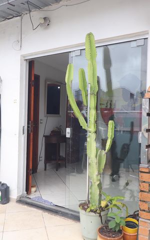 Apartamento à venda com 177m², 3 quartos e 1 vagaCobertura