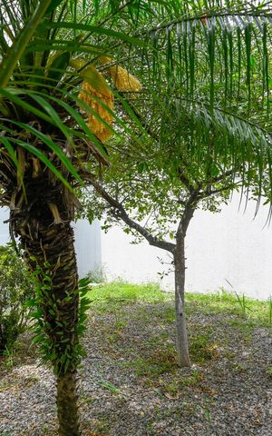 Casa à venda com 600m², 3 quartos e 2 vagas Casa à venda com 600m², 3 quartos e 2 vagasJardim
