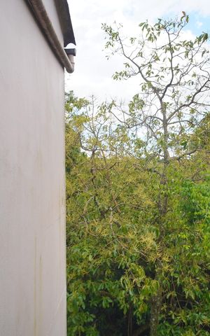 Apartamento à venda com 42m², 2 quartos e 1 vagavista da Sala