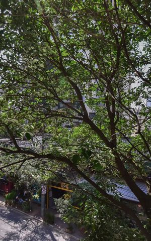 Apartamento à venda com 169m², 4 quartos e 3 vagasVista do Quarto