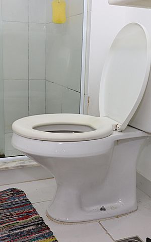 Apartamento à venda com 60m², 2 quartos e 1 vagaBanheiro da Suíte