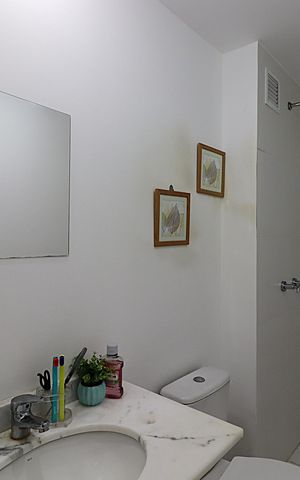 Apartamento à venda com 60m², 2 quartos e 1 vagaBanheiro social