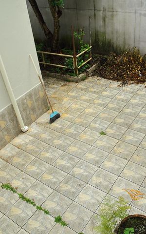 Casa à venda com 180m², 4 quartos e 3 vagasQuintal casa 1 