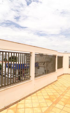 Apartamento para alugar com 506m², 5 quartos e 2 vagasTerraço