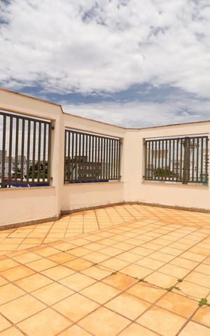 Apartamento para alugar com 506m², 5 quartos e 2 vagasTerraço