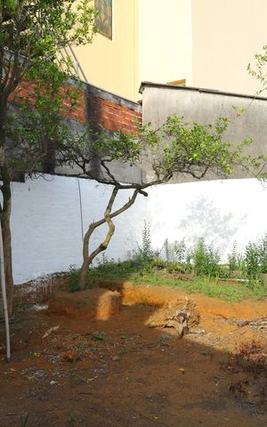 Casa à venda com 78m², 3 quartos e 3 vagasQuintal