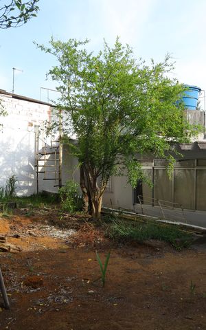 Casa à venda com 78m², 3 quartos e 3 vagasQuintal