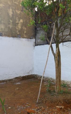 Casa à venda com 78m², 3 quartos e 3 vagasQuintal