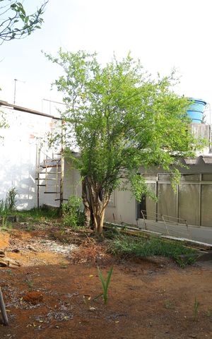 Casa à venda com 78m², 3 quartos e 3 vagasQuintal