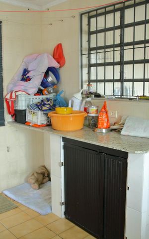 Casa à venda com 236m², 3 quartos e 2 vagasÁrea de Serviço