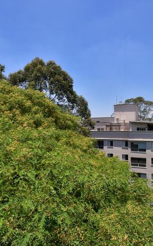 Apartamento para alugar com 120m², 1 quarto e 2 vagasVista
