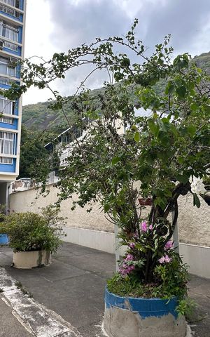 Apartamento à venda com 95m², 2 quartos e sem vaga