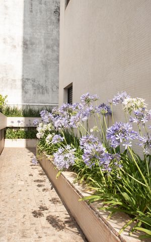 Apartamento à venda com 89m², 3 quartos e 2 vagasÁrea comum
