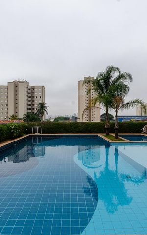 Apartamento à venda com 65m², 3 quartos e 1 vaga Apartamento à venda com 65m², 3 quartos e 1 vagaÁrea comum - Piscina