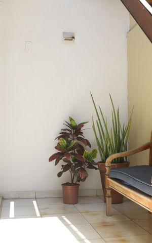 Apartamento à venda com 236m², 3 quartos e 2 vagasTerraço